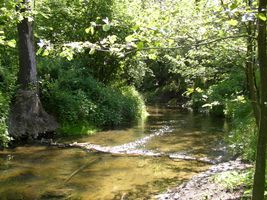 Botič 1-Křeslice-květen 2005 (1).jpg